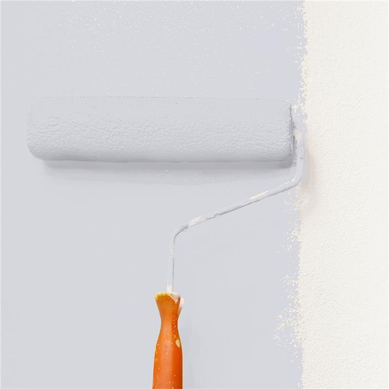 Wandfarbe Matt NCS-S-1505-R60B Profi Qualität für Innen