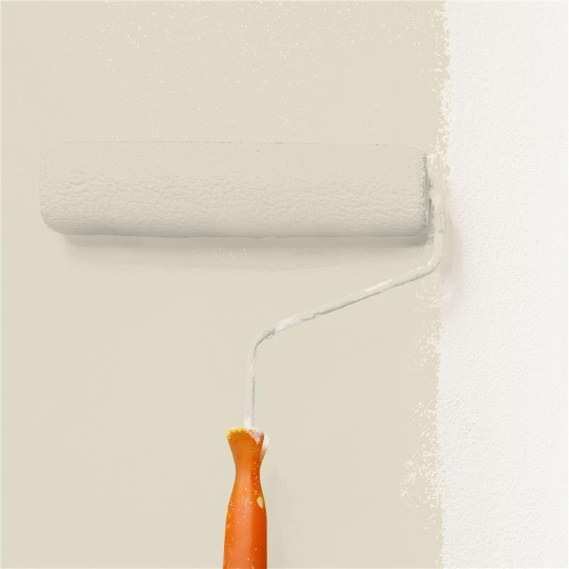 Wandfarbe Matt NCS-S-1505-Y10R Profi Qualität für Innen