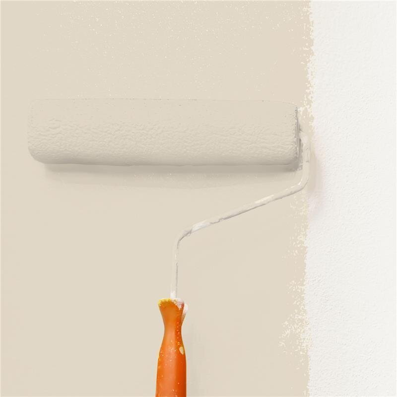 Wandfarbe Matt NCS-S-1505-Y30R Profi Qualität für Innen