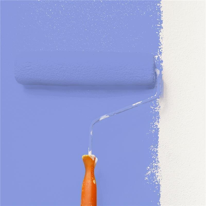 Wandfarbe Matt NCS-S-1550-R70B Profi Qualität für Innen