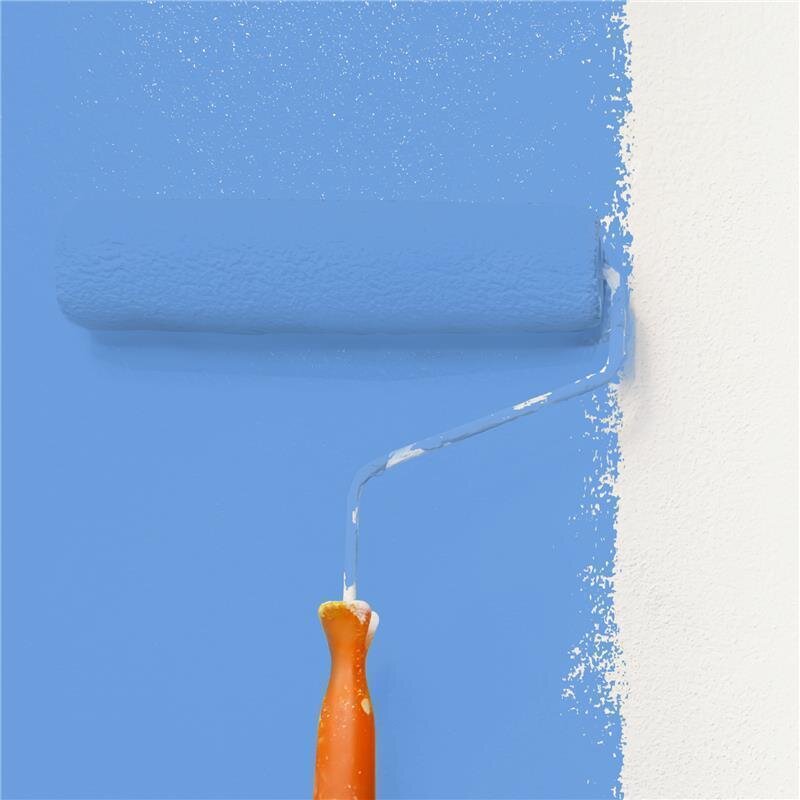 Wandfarbe Matt NCS-S-1550-R80B Profi Qualität für Innen