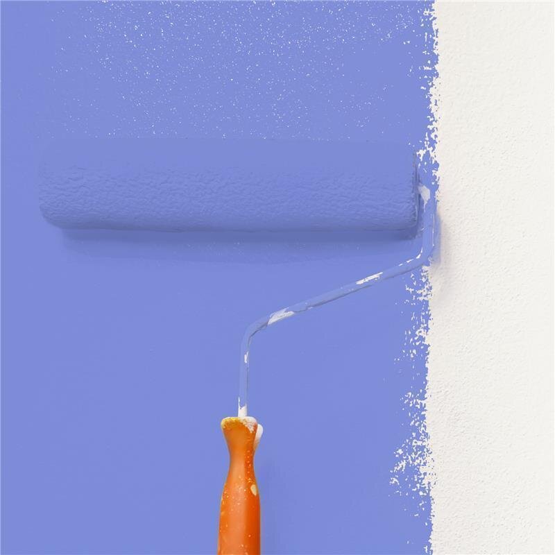 Wandfarbe Matt NCS-S-1555-R70B Profi Qualität für Innen