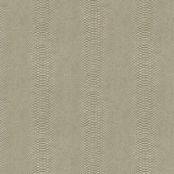 Tapete Braun Dieter Langer Vliestapete (58842)