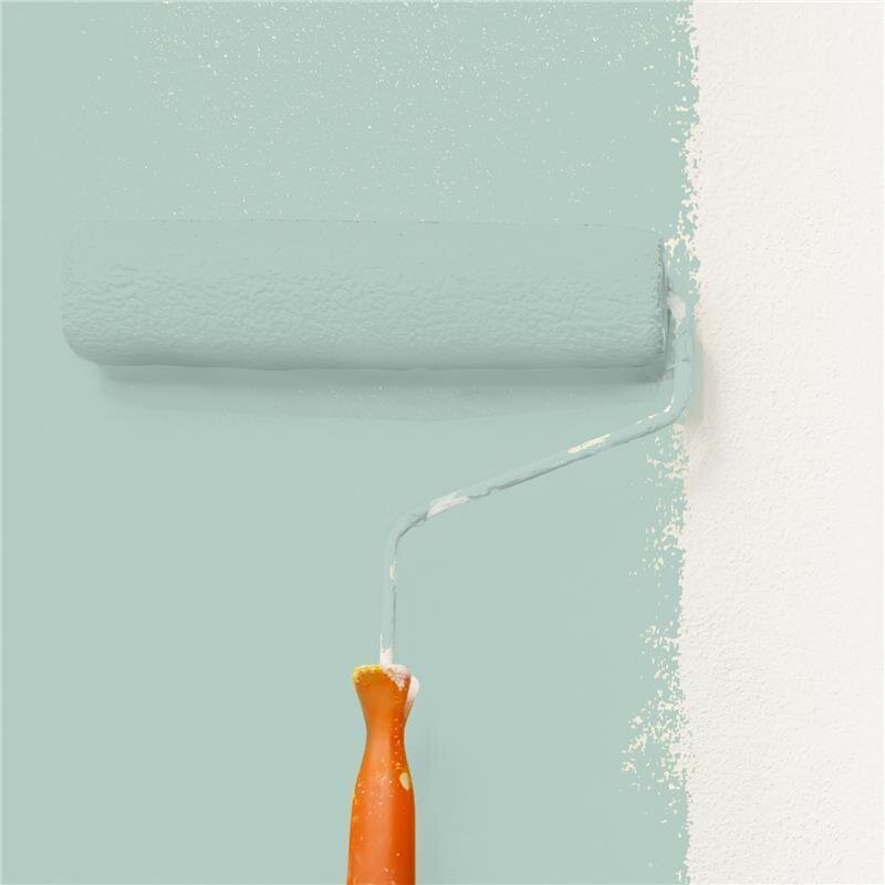 Wandfarbe Matt NCS-S-2010-B90G Profi Qualität für Innen