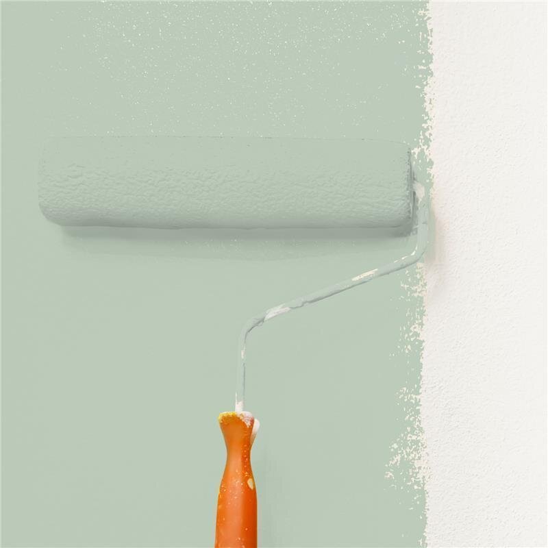 Wandfarbe Matt NCS-S-2010-G20Y Profi Qualität für Innen