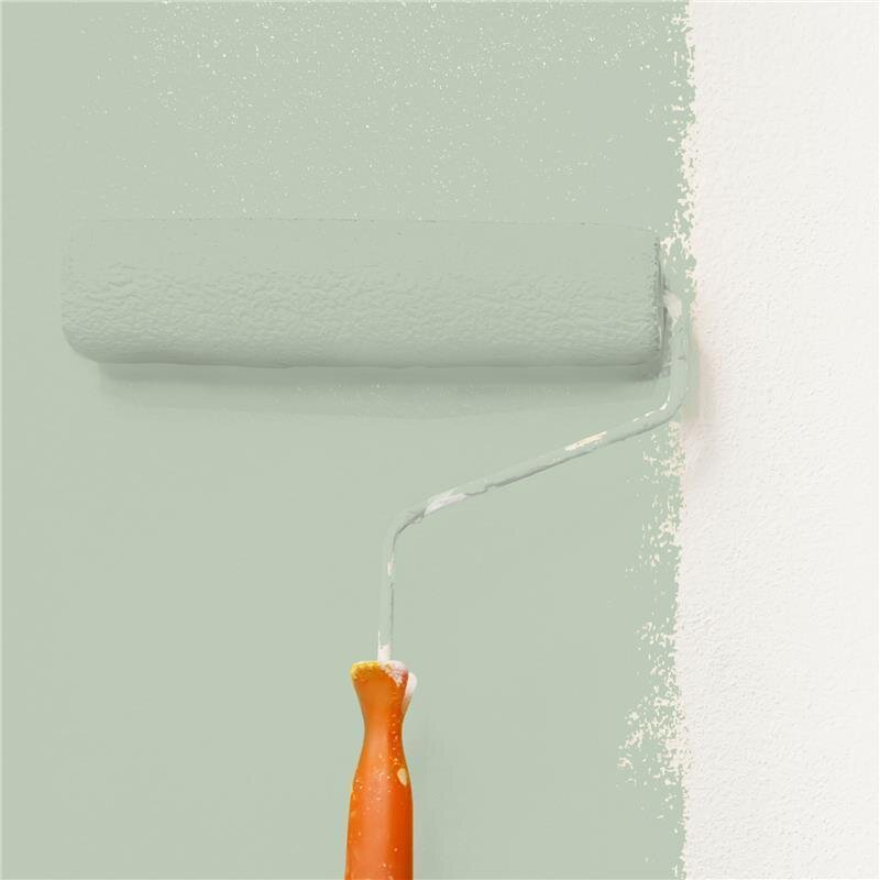 Wandfarbe Matt NCS-S-2010-G30Y Profi Qualität für Innen