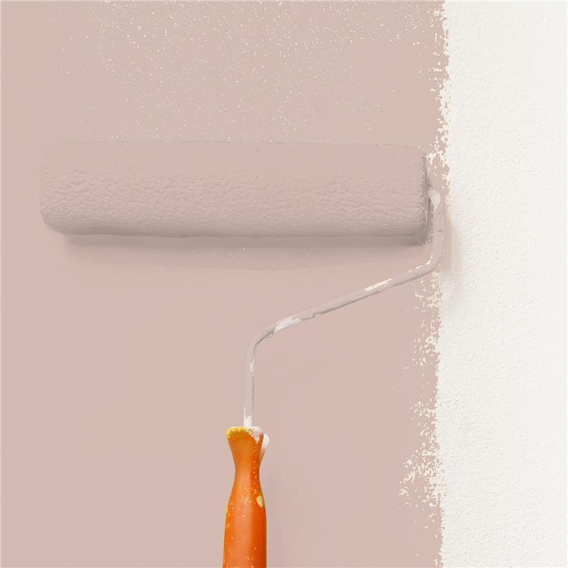 Wandfarbe Matt NCS-S-2010-Y80R Profi Qualität für Innen