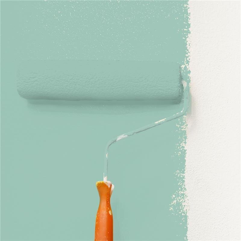 Wandfarbe Matt NCS-S-2020-B90G Profi Qualität für Innen