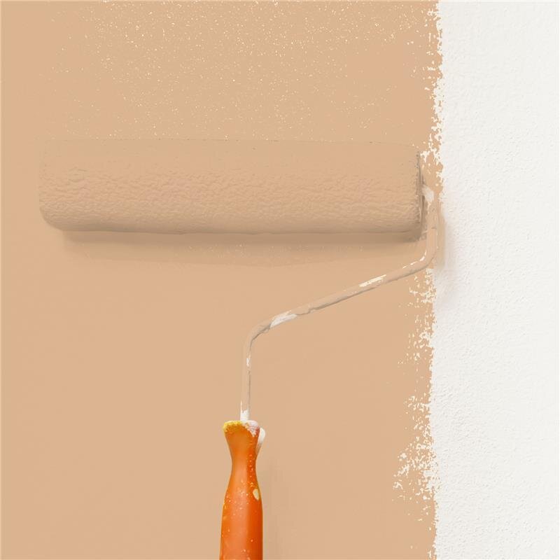 Wandfarbe Matt NCS-S-2020-Y40R Profi Qualität für Innen