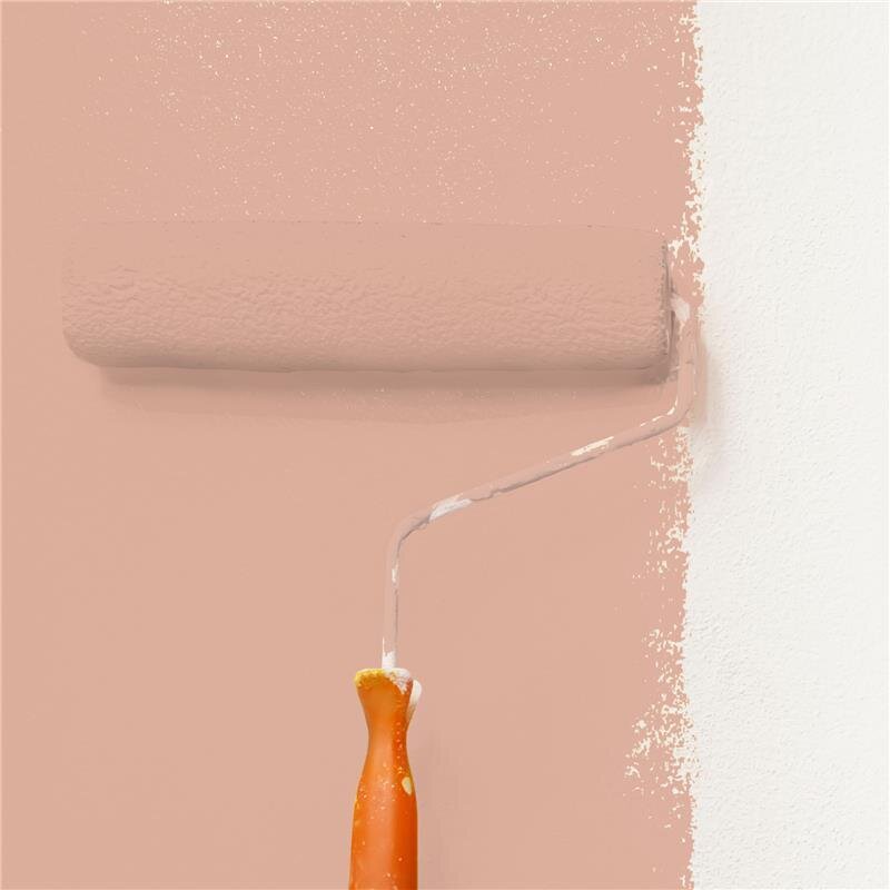 Wandfarbe Matt NCS-S-2020-Y70R Profi Qualität für Innen