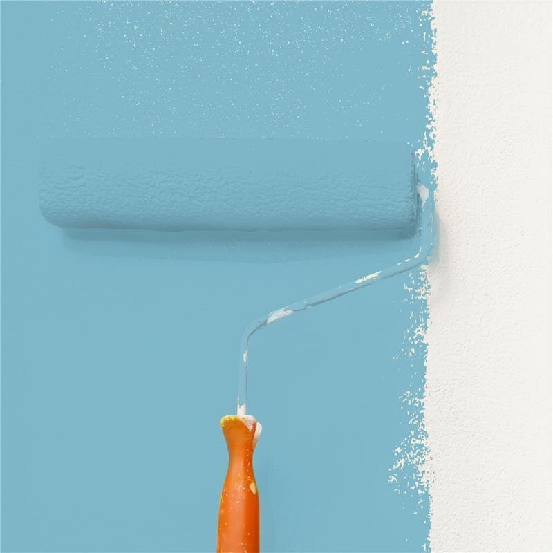 Wandfarbe Matt NCS-S-2030-B10G Profi Qualität für Innen