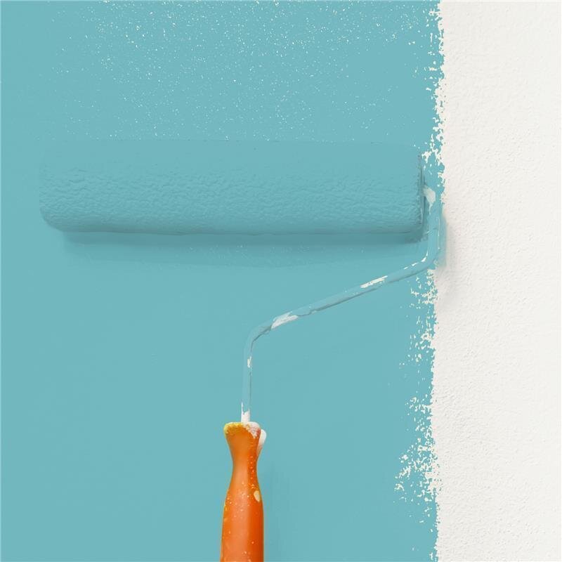 Wandfarbe Matt NCS-S-2030-B30G Profi Qualität für Innen