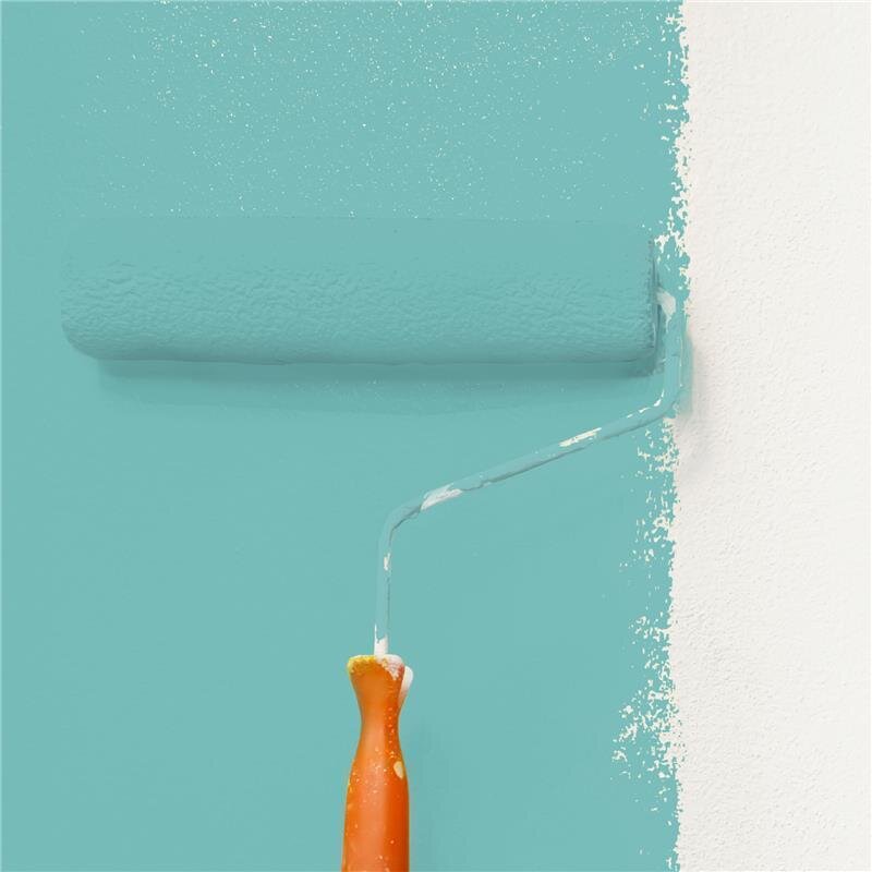 Wandfarbe Matt NCS-S-2030-B50G Profi Qualität für Innen