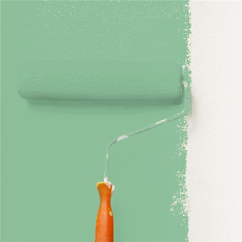 Wandfarbe Matt NCS-S-2030-G10Y Profi Qualität für Innen