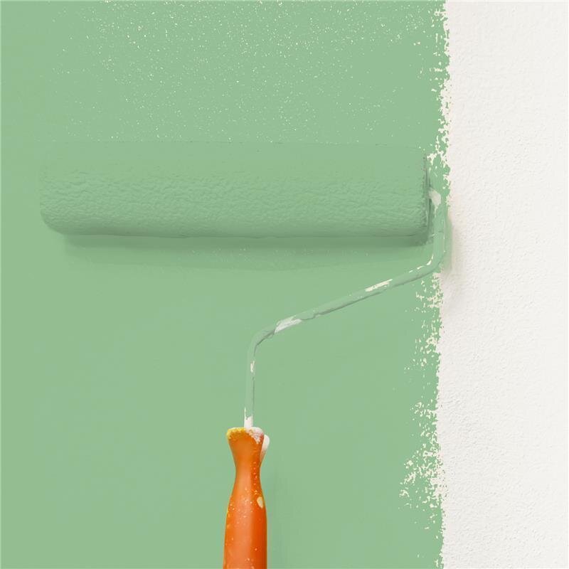 Wandfarbe Matt NCS-S-2030-G20Y Profi Qualität für Innen