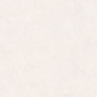 Tapete Wei&szlig; Dieter Langer Vliestapete (58839)