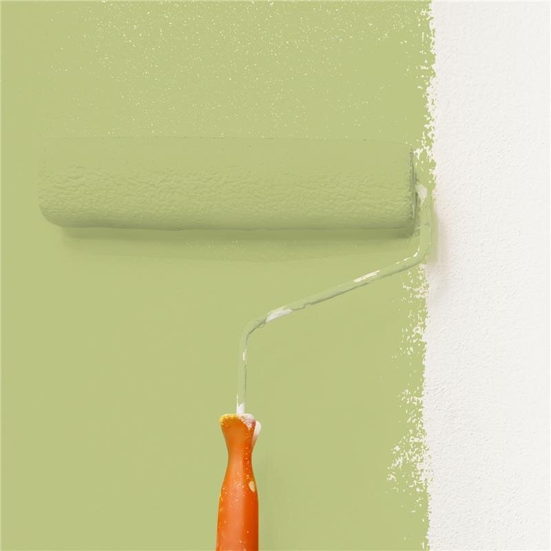 Wandfarbe Matt NCS-S-2030-G60Y Profi Qualität für Innen