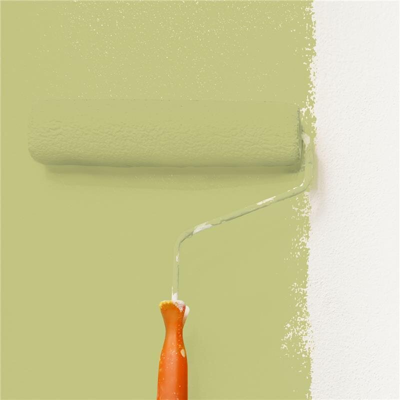 Wandfarbe Matt NCS-S-2030-G70Y Profi Qualität für Innen