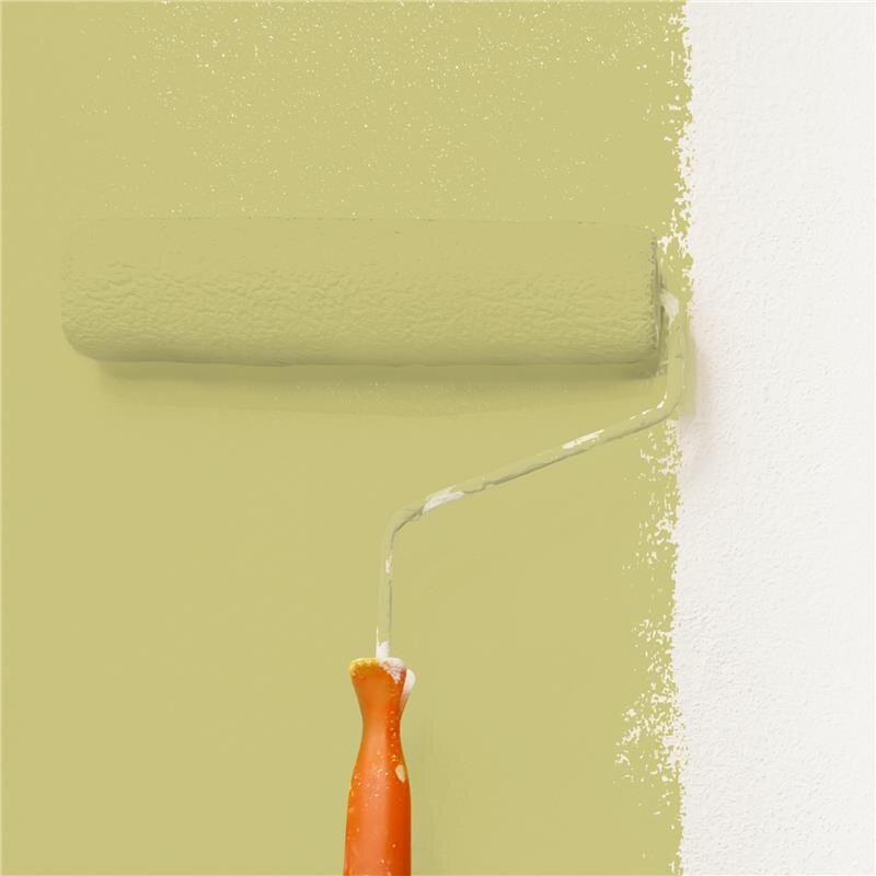 Wandfarbe Matt NCS-S-2030-G80Y Profi Qualität für Innen