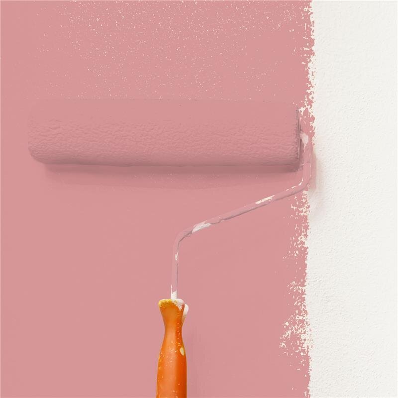 Wandfarbe Matt NCS-S-2030-R Profi Qualität für Innen