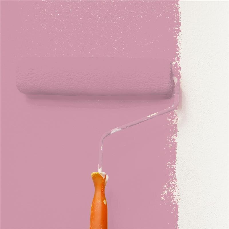 Wandfarbe Matt NCS-S-2030-R20B Profi Qualität für Innen