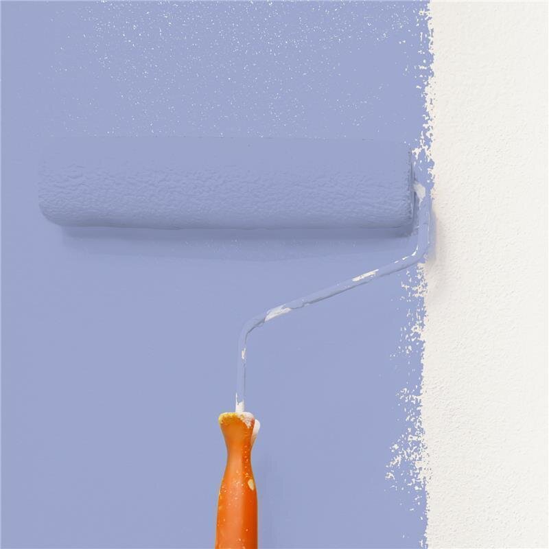 Wandfarbe Matt NCS-S-2030-R70B Profi Qualität für Innen