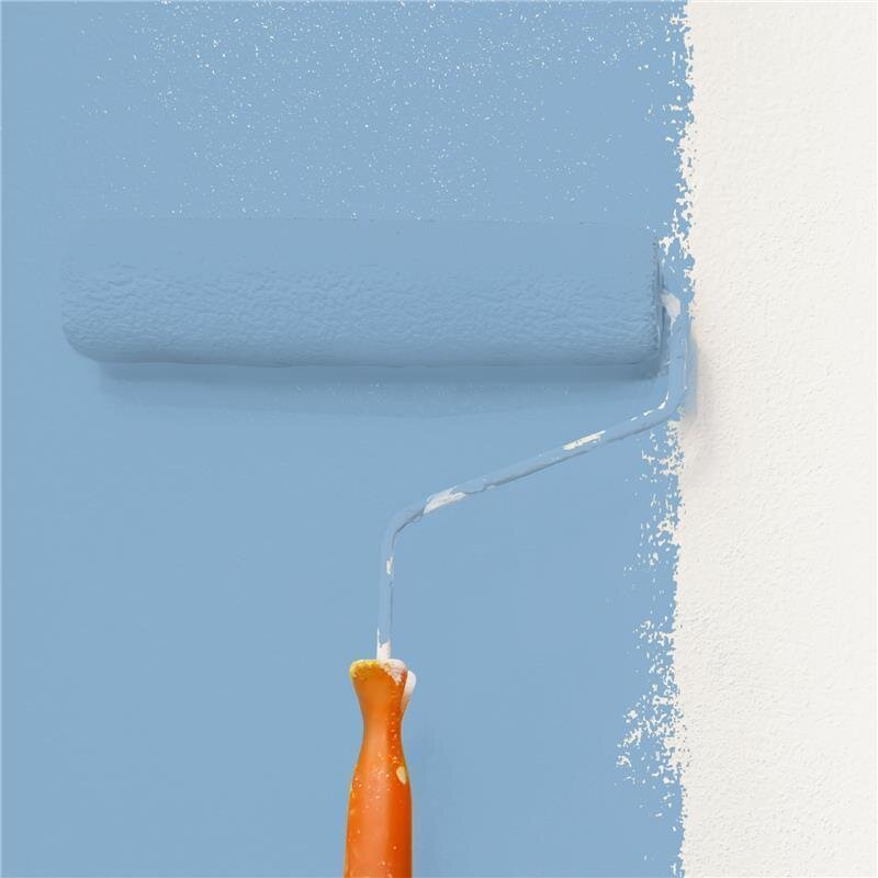 Wandfarbe Matt NCS-S-2030-R90B Profi Qualität für Innen