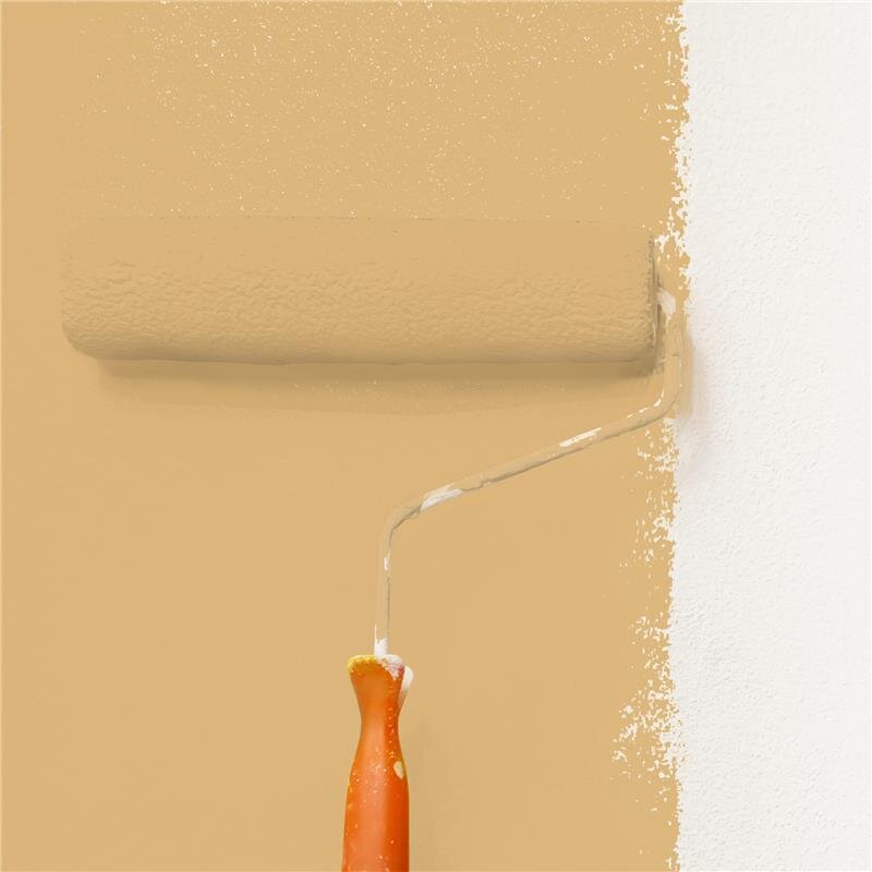 Wandfarbe Matt NCS-S-2030-Y20R Profi Qualität für Innen