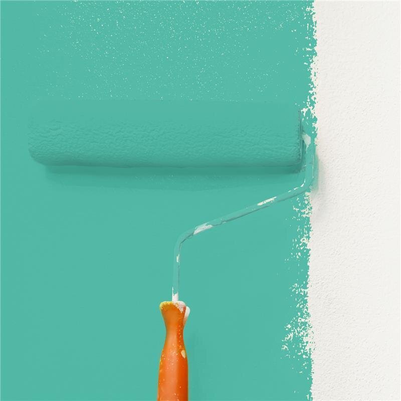 Wandfarbe Matt NCS-S-2040-B80G Profi Qualität für Innen