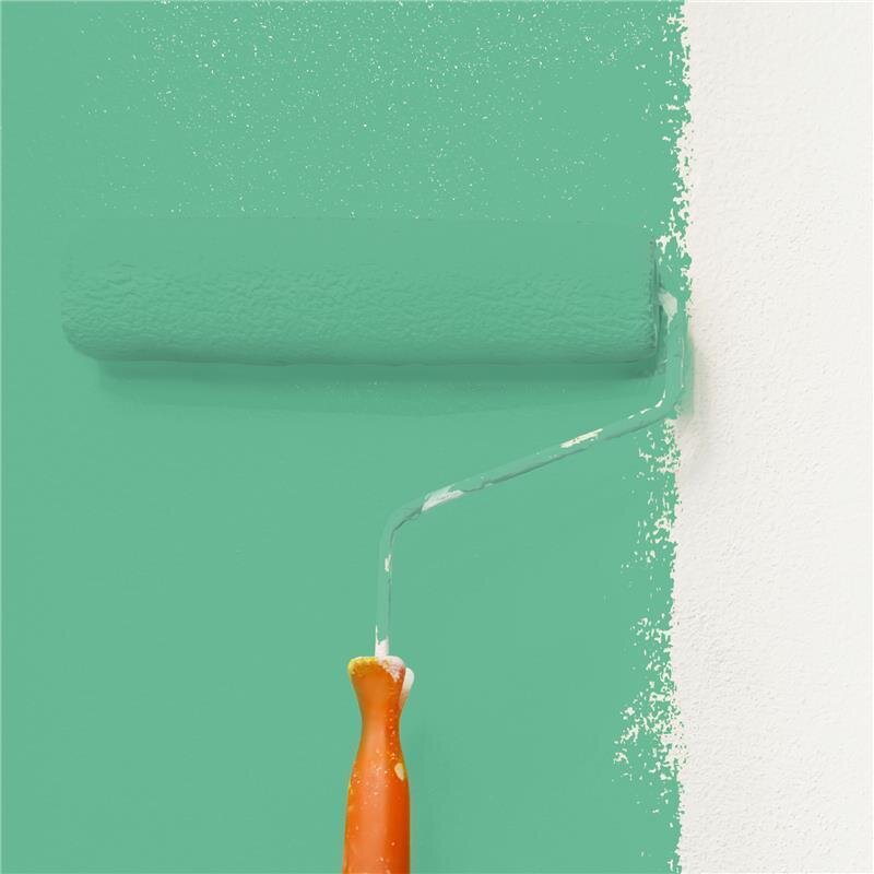 Wandfarbe Matt NCS-S-2040-G Profi Qualität für Innen
