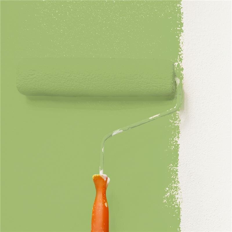 Wandfarbe Matt NCS-S-2040-G40Y Profi Qualität für Innen