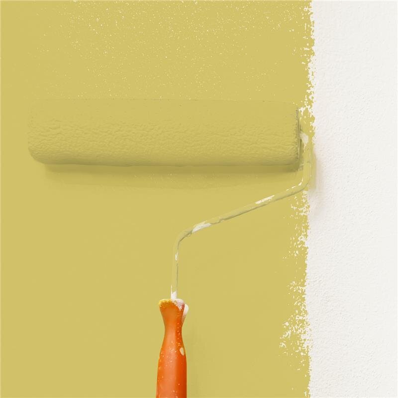 Wandfarbe Matt NCS-S-2040-G90Y Profi Qualität für Innen