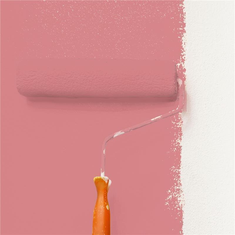 Wandfarbe Matt NCS-S-2040-R Profi Qualität für Innen
