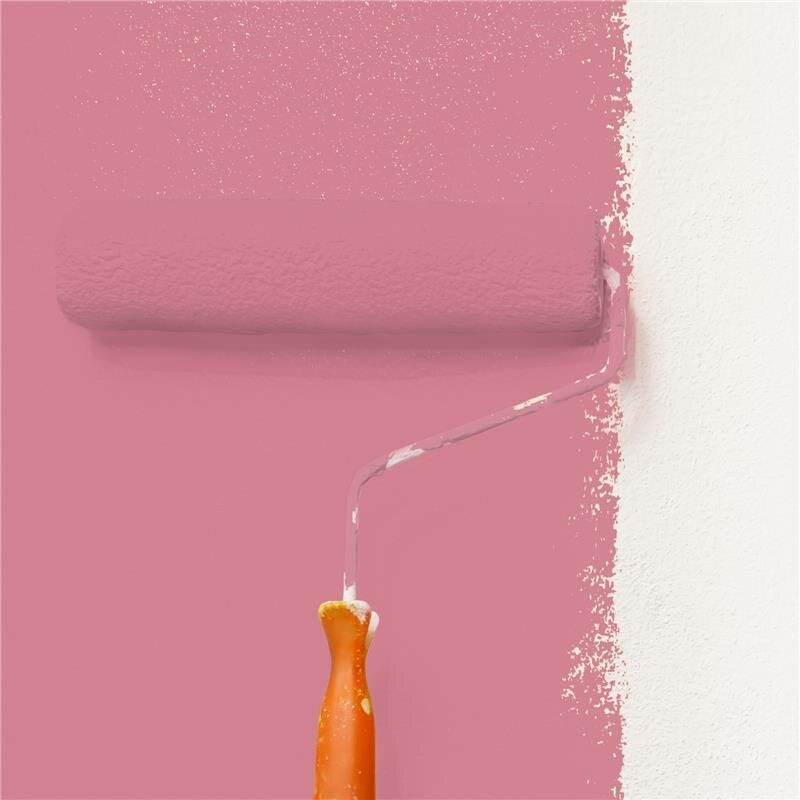 Wandfarbe Matt NCS-S-2040-R10B Profi Qualität für Innen