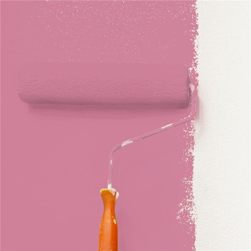 Wandfarbe Matt NCS-S-2040-R20B Profi Qualität für Innen