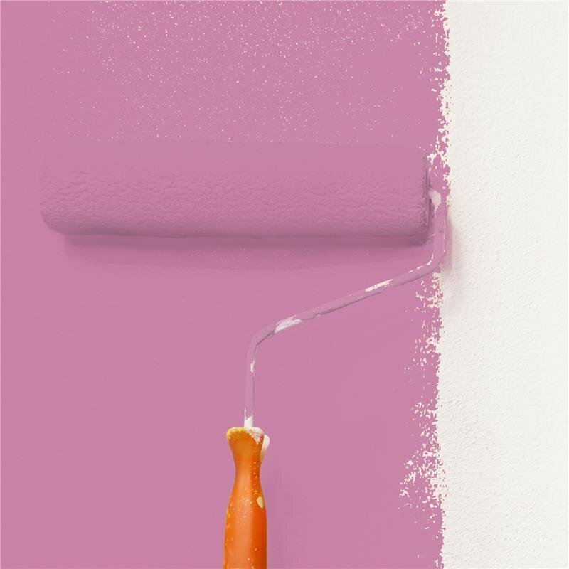 Wandfarbe Matt NCS-S-2040-R30B Profi Qualität für Innen