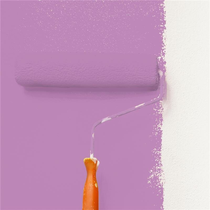 Wandfarbe Matt NCS-S-2040-R40B Profi Qualität für Innen