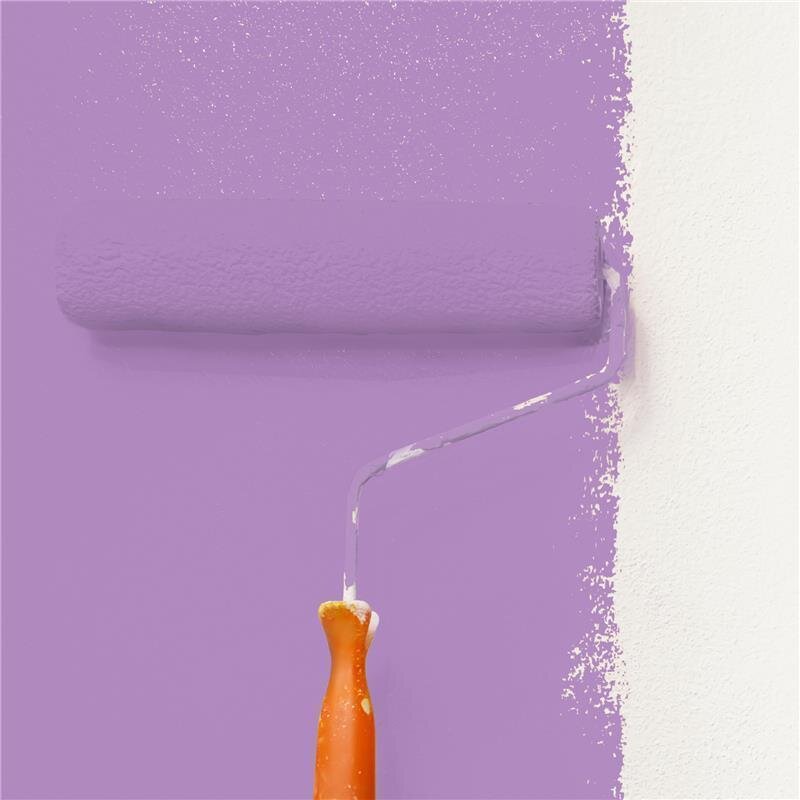 Wandfarbe Matt NCS-S-2040-R50B Profi Qualität für Innen