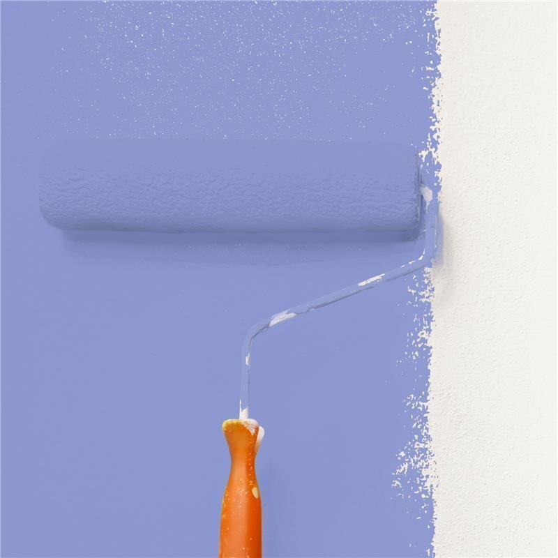 Wandfarbe Matt NCS-S-2040-R70B Profi Qualität für Innen