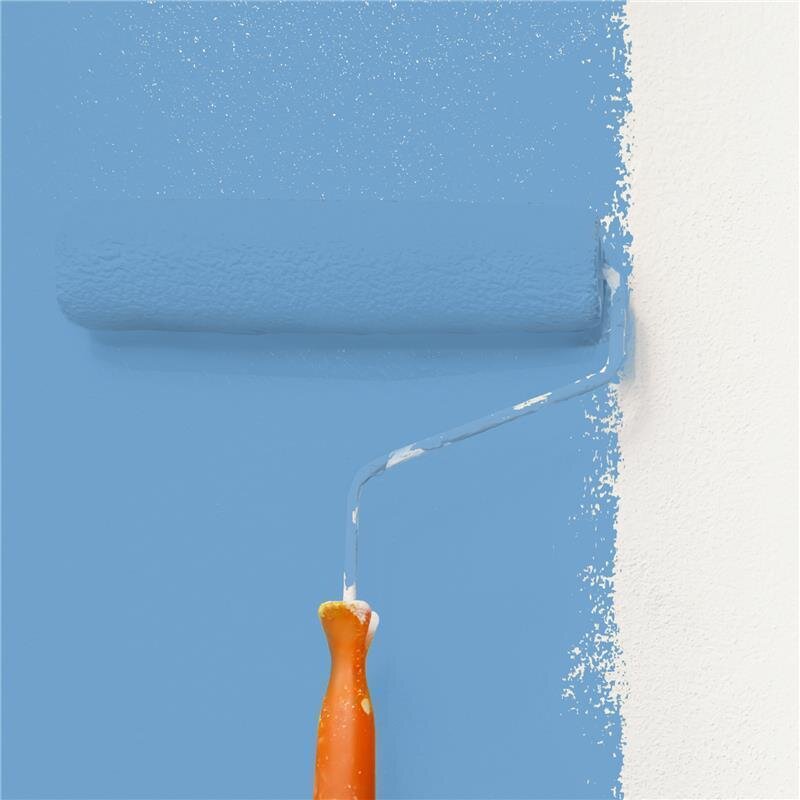 Wandfarbe Matt NCS-S-2040-R90B Profi Qualität für Innen