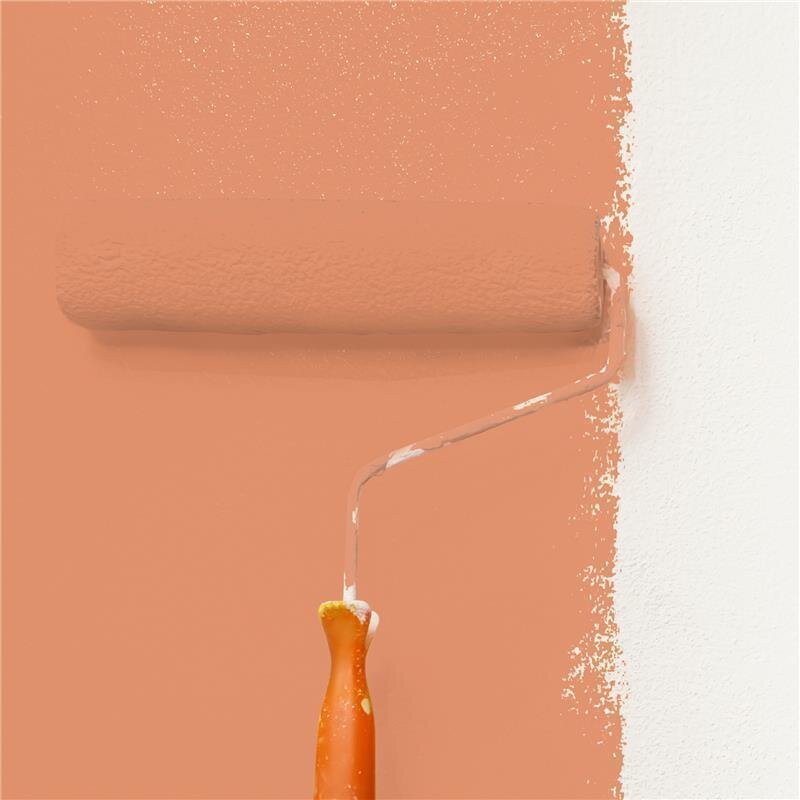 Wandfarbe Matt NCS-S-2040-Y60R Profi Qualität für Innen