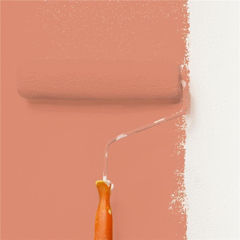 Wandfarbe Matt NCS-S-2040-Y70R Profi Qualität für Innen