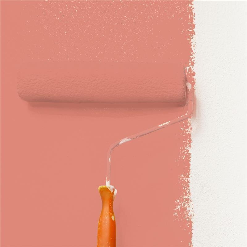 Wandfarbe Matt NCS-S-2040-Y80R Profi Qualität für Innen