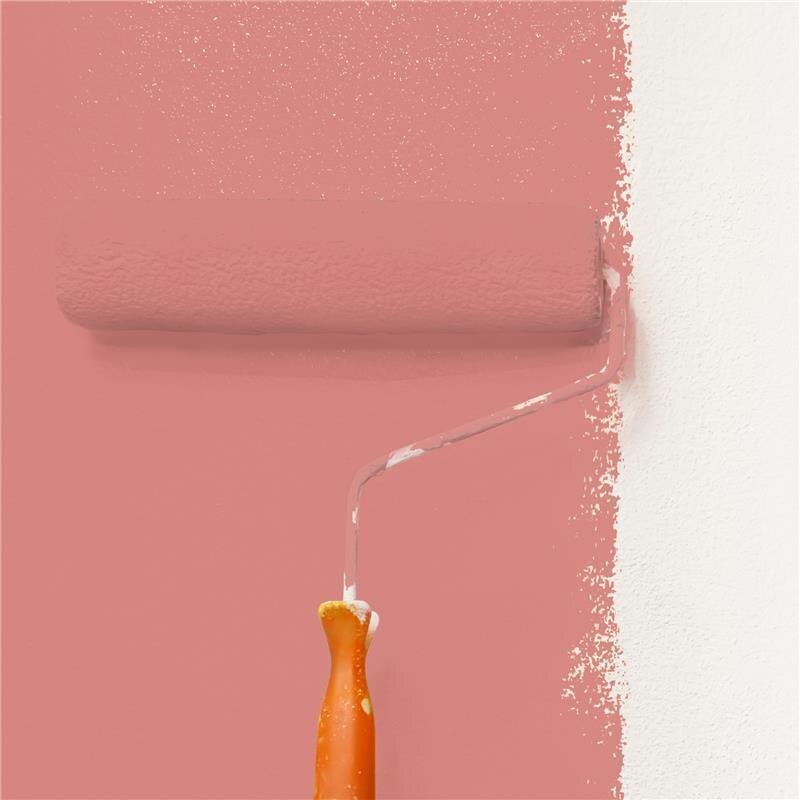 Wandfarbe Matt NCS-S-2040-Y90R Profi Qualität für Innen