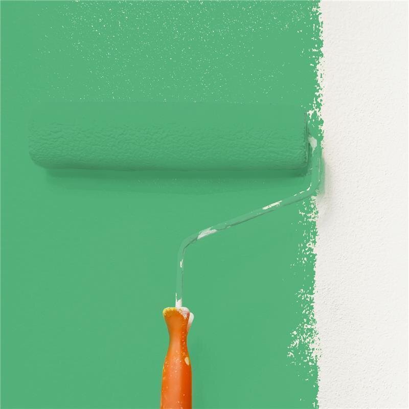 Wandfarbe Matt NCS-S-2050-G10Y Profi Qualität für Innen