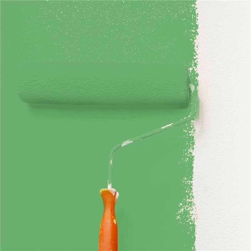 Wandfarbe Matt NCS-S-2050-G20Y Profi Qualität für Innen