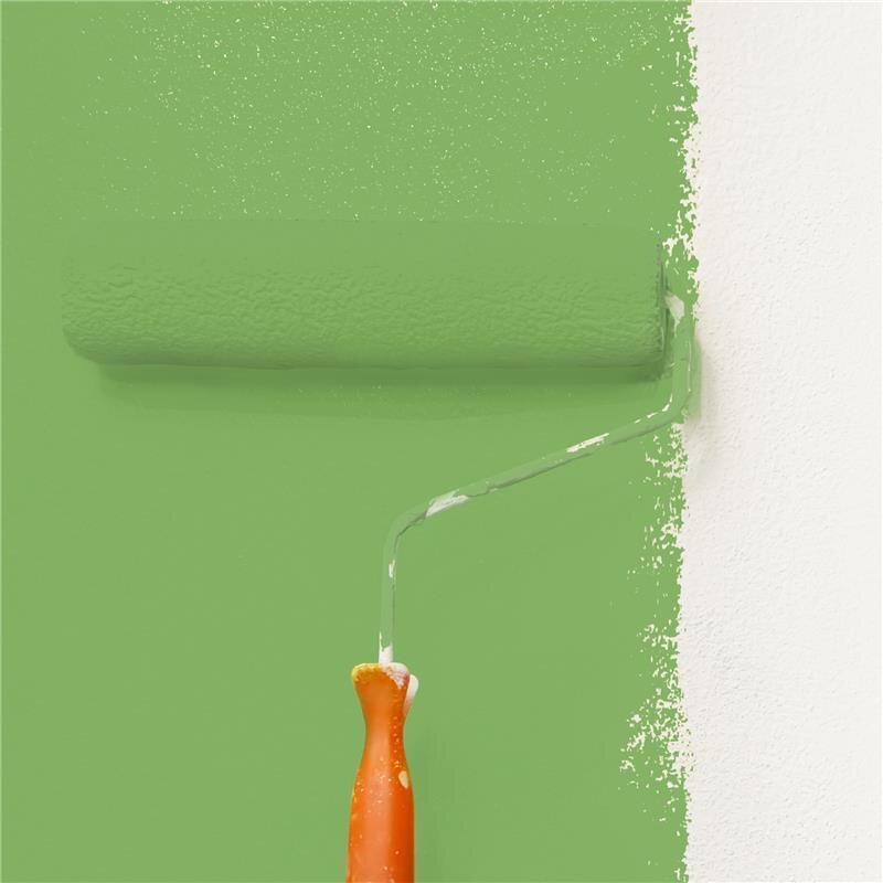 Wandfarbe Matt NCS-S-2050-G30Y Profi Qualität für Innen