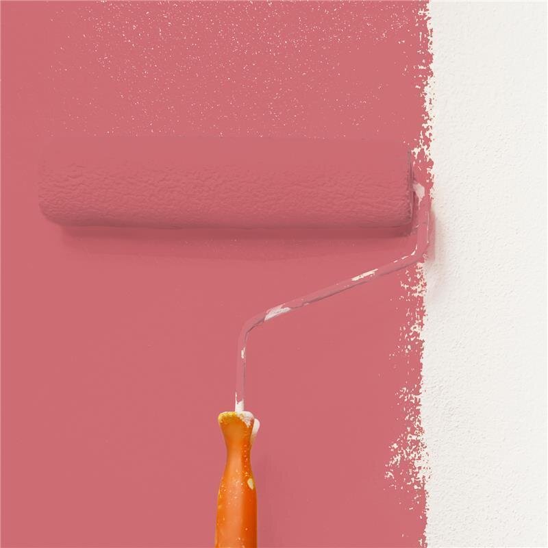 Wandfarbe Matt NCS-S-2050-R Profi Qualität für Innen