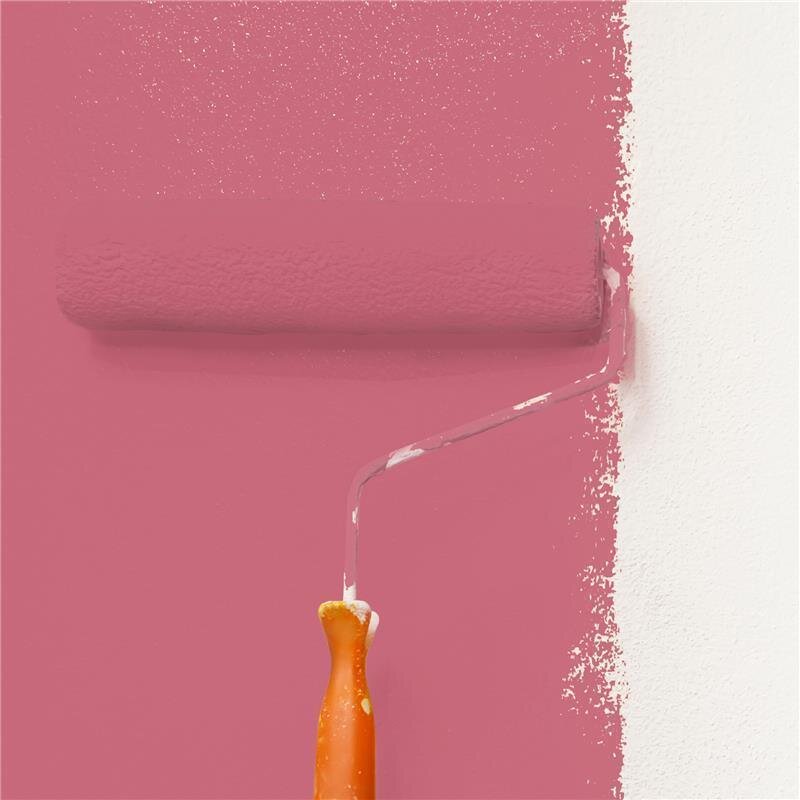 Wandfarbe Matt NCS-S-2050-R10B Profi Qualität für Innen
