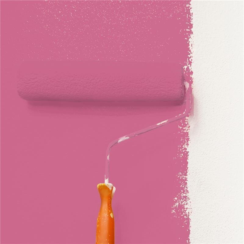 Wandfarbe Matt NCS-S-2050-R20B Profi Qualität für Innen